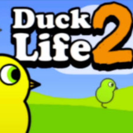 Ducklife 2